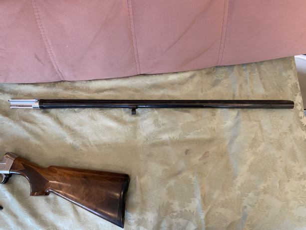 prodam-ruze-benelli-big-4