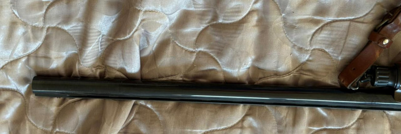 benelli-raffaello-kal1276-big-8