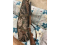 prodam-toz-34-small-3