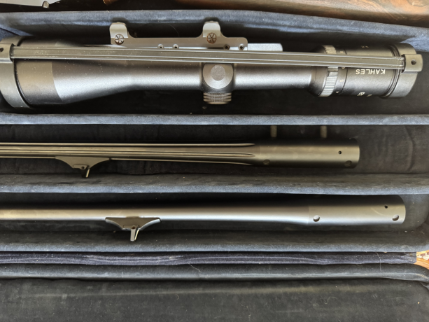 prodam-blaser-r-93-v-otlicnom-sostoianii-big-1