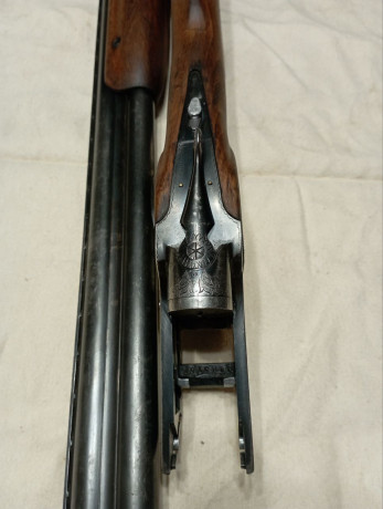 toz-34-12r-big-0