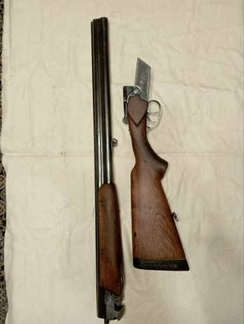 toz-34-12r-big-6