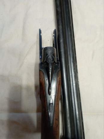 toz-34-12r-big-1