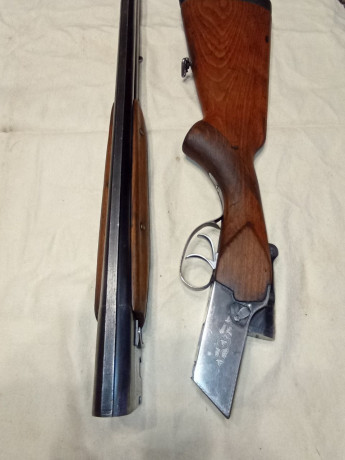 toz-34-12r-big-3