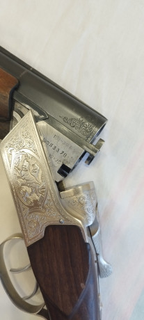 prodam-toz-34er-big-7