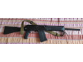 saiga-12k-small-0